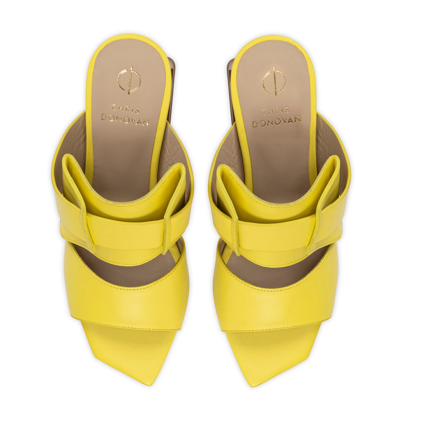 Aki | Yellow