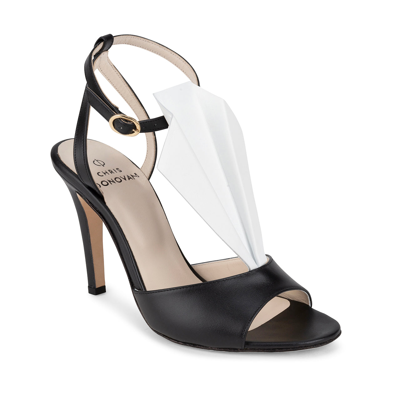 Aquila | Black